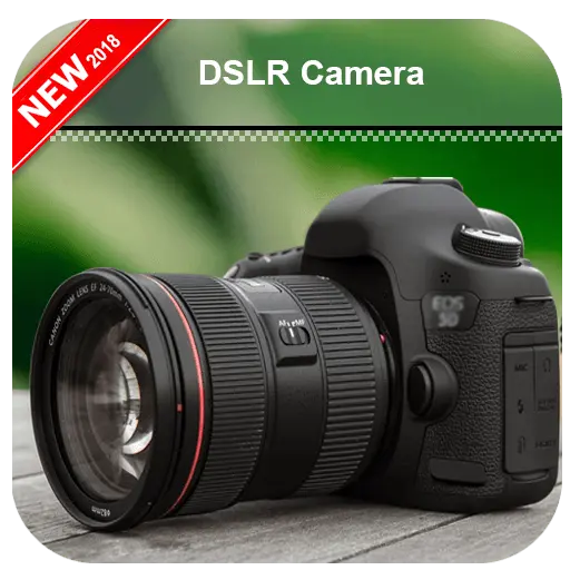 Máy ảnh DSLR là một công cụ không thể thiếu đối với các tín đồ nhiếp ảnh. Hình ảnh sẽ giúp bạn hiểu được sức mạnh của DSLR và khám phá những khả năng làm mới mà nó mang lại cho mọi người. Từ chất lượng hình ảnh đến khả năng tùy chỉnh, DSLR sẽ thực sự khiến bạn say đắm.