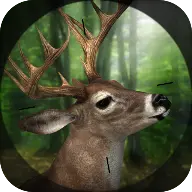 Sniper 3D MOD APK v4.31.0 (Mod Menu/Unlimited Coins/VIP) - Jojoy