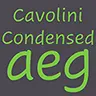 Cavolini Condensed FlipFont icon