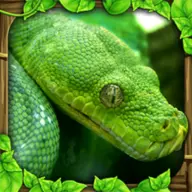 Snake Sim icon