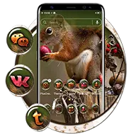 Squirrel Theme Launcher icon