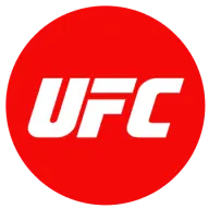 UFC icon