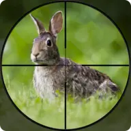 Rabbit Hunting Challenge Mod Apk