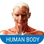 Human Body System icon