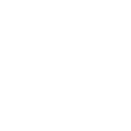 SIP Switch icon