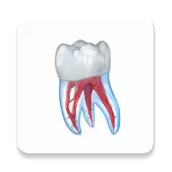 Dental Illustrations icon