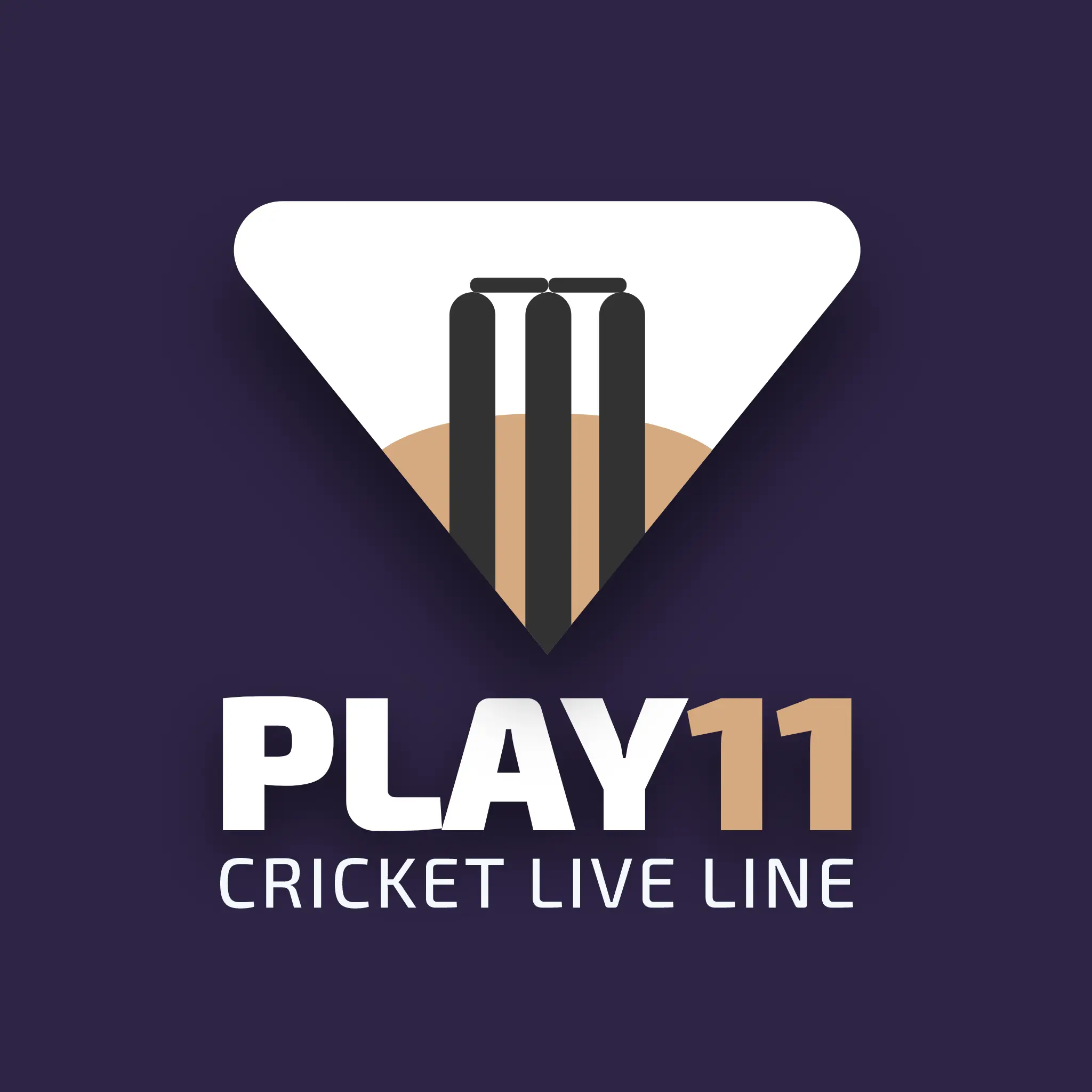 Play11 Cricket Live Line icon