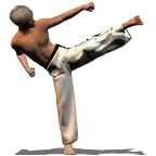 Taekwondo Forms (Sponsored) icon