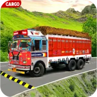 Indian Real Cargo Truck Driver