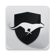 Run vpn icon