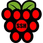 Raspberry SSH icon