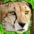 Cheetah Sim icon