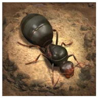The Ants_playmods.io