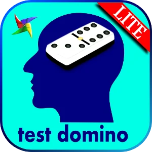 Domino psychotechnical test LITE