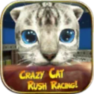 Crazy Cat Rush Racing Run Kitty Craft icon