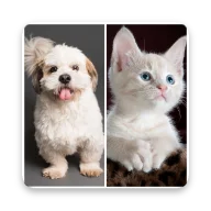 Puppy and Kitten Jigsaw Puzzles