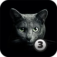 Find a cat 3 icon