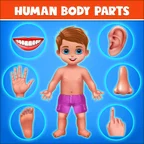 Human Body Parts icon