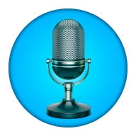 Translate Voice icon