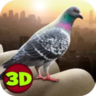 City Bird Pigeon Simulator