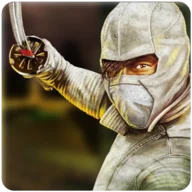 Super Hero-The Ninja Warrior