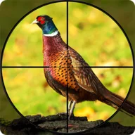 Pheasant Shooter icon