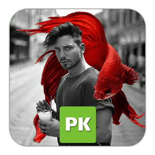 PhotoKit icon