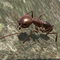 Ant Simulation icon