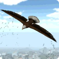 Eagle Bird City Simulator 2015