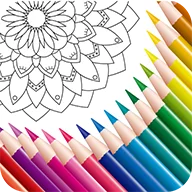 ColorColor icon