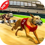 Dog Race 3d