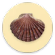 The Shell Game icon
