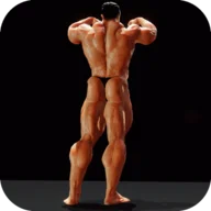 Iron Muscle - Be the champion_playmods.io