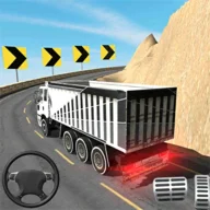 Indian Truck Driving