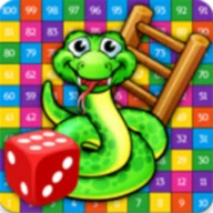 Snakes & Ladders icon