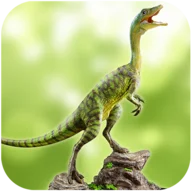 Compsognathus Simulator icon