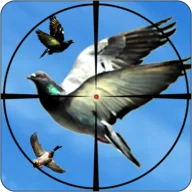 BIRD HUNTING icon
