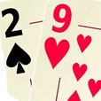 29 card game icon