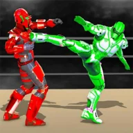 Real Robot Fighting Games