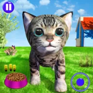Virtual Family Pet Cat Simulator 2020