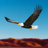 Bird Racing Simulator: Eagle Race Game