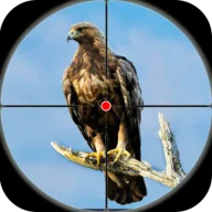Desert Bird Sniper Shooter