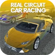Real Circuit Car Racing