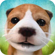 DogSimulator icon