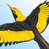 Birds of Australia icon