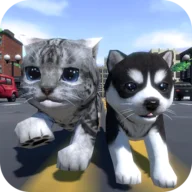 Cute Pocket Cat And Puppy 3D