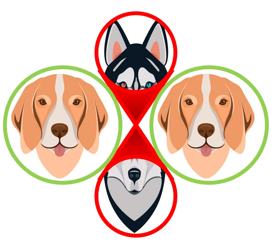 sega24dogs icon