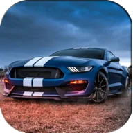 Mustang Driving&Parking&Racing Simulator 2021 icon