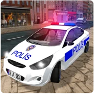 Real Police Car Driving icon