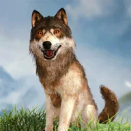 Wild Wolf Simulator 3D icon